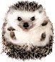 IxDimKaxI